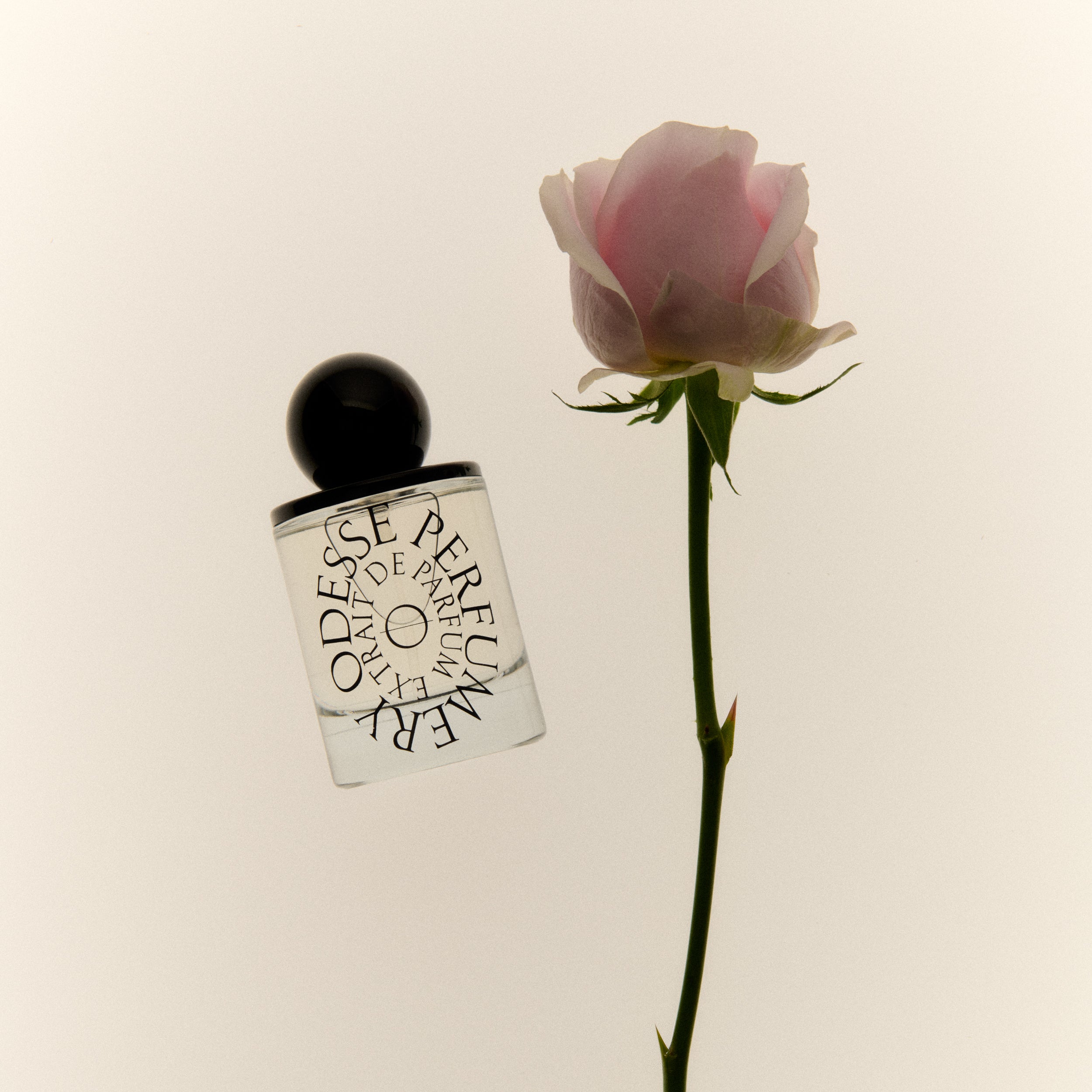 Image of Rose Wood